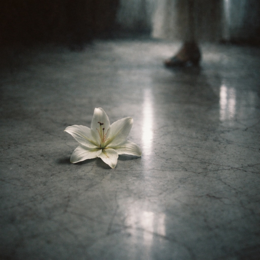 금자씨 이미지 용량다운